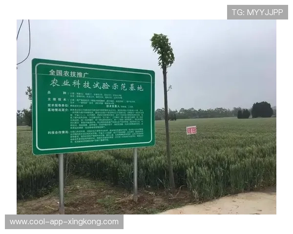 足球裁判在基层推广中建立在线考试与模拟评分体系，足球裁判题库答案